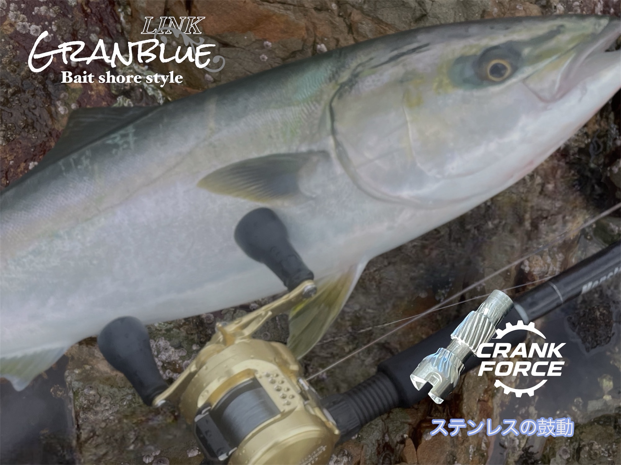 CRANKFORCE - Bait shore style